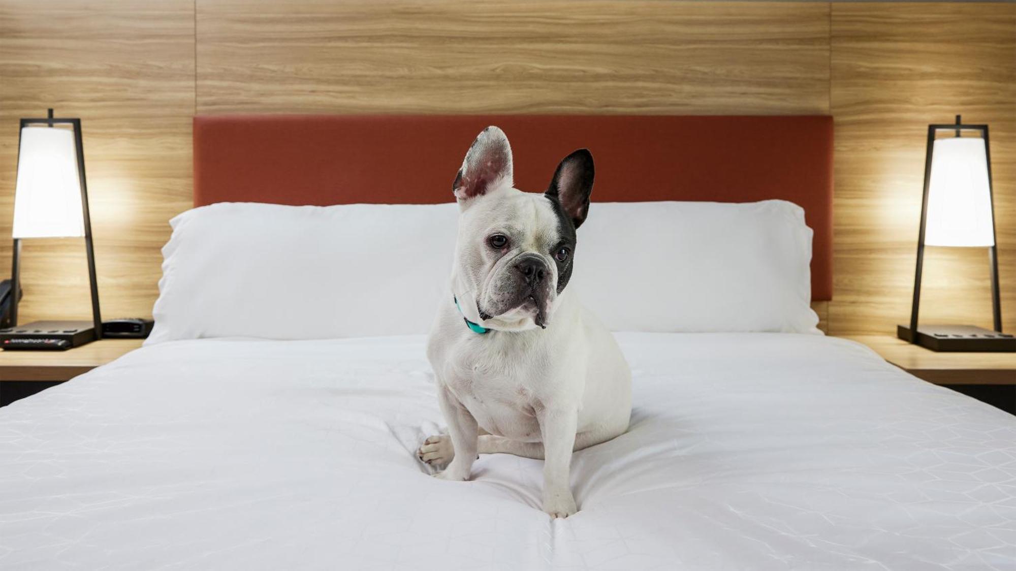 Candlewood Suites Junction City - Ft. Riley By Ihg Экстерьер фото